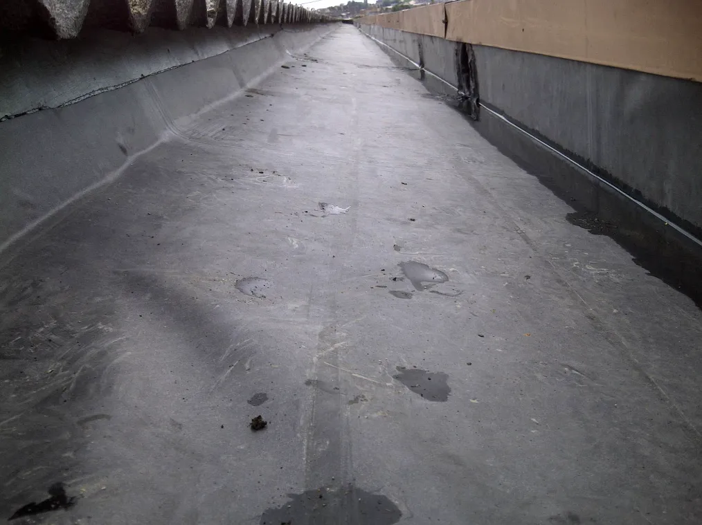 after-image